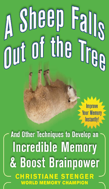 A sheep falls out of a tree and other techniques to develop an incredible memory and boost brainpower