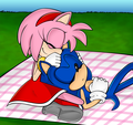 .:Sonic and Amy:.