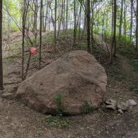 Thumb image