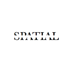 Spaitial logo
