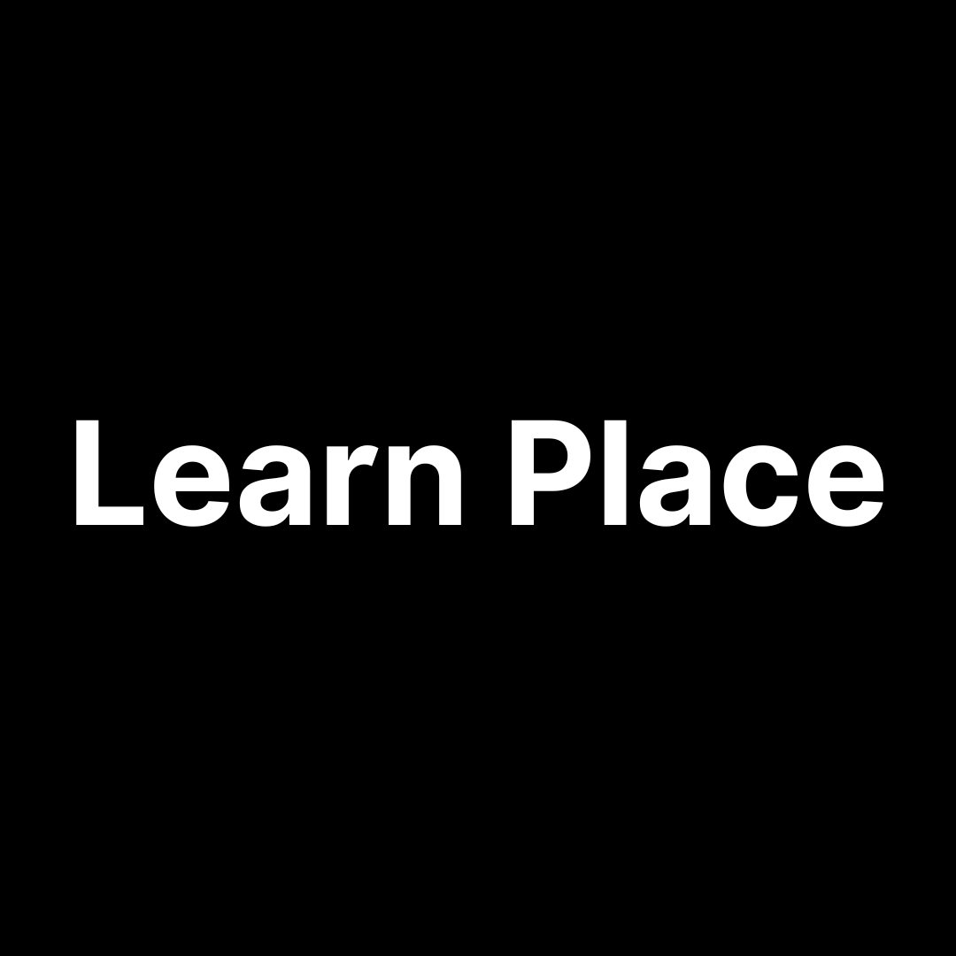 Learn Place AI Learning Assistant logo