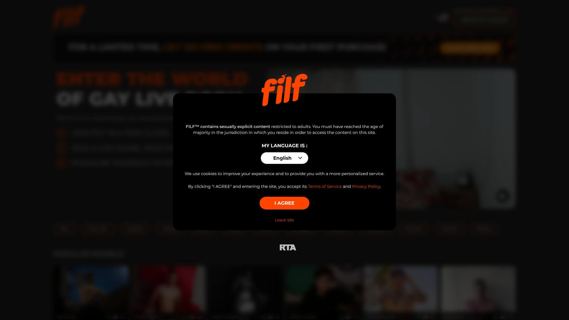 FILF landing page