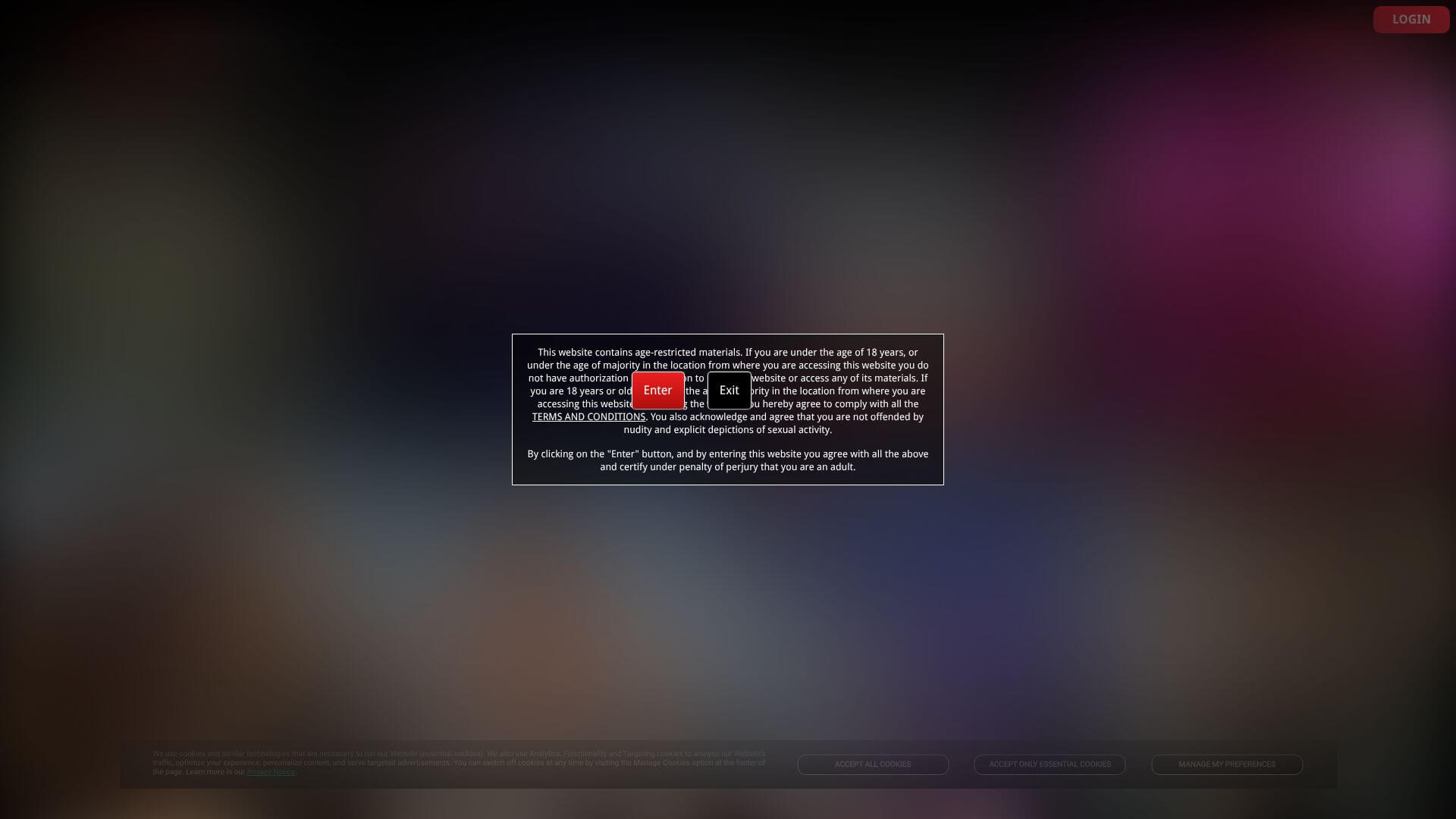 Digital Playground landing page