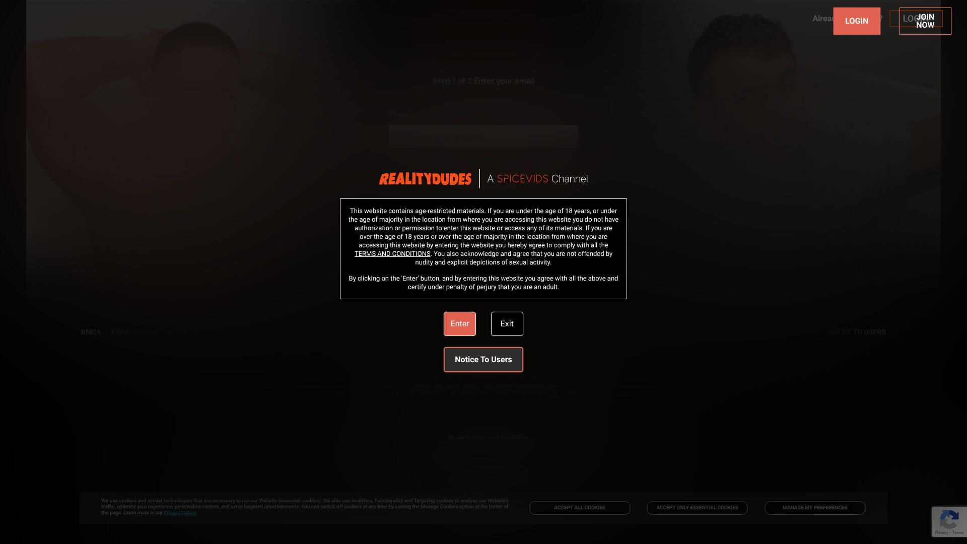 Reality Dudes landing page