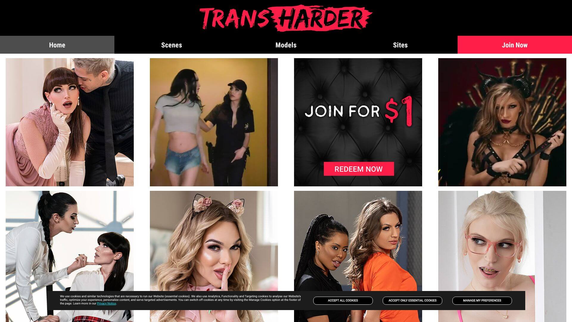 TransHarder landing page