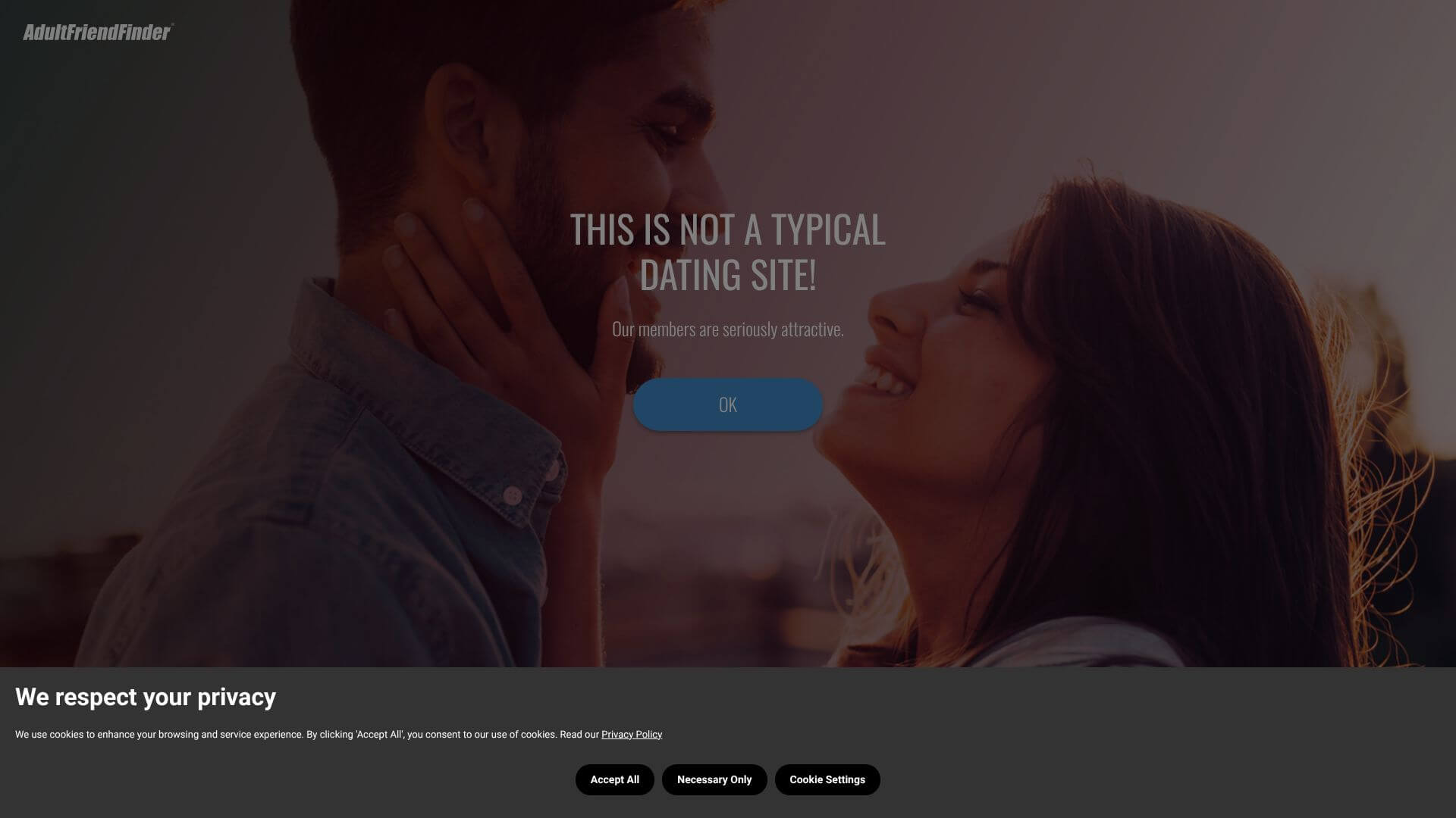 Adult FriendFinder landing page