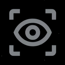 Agentic Vision in Gemini logo