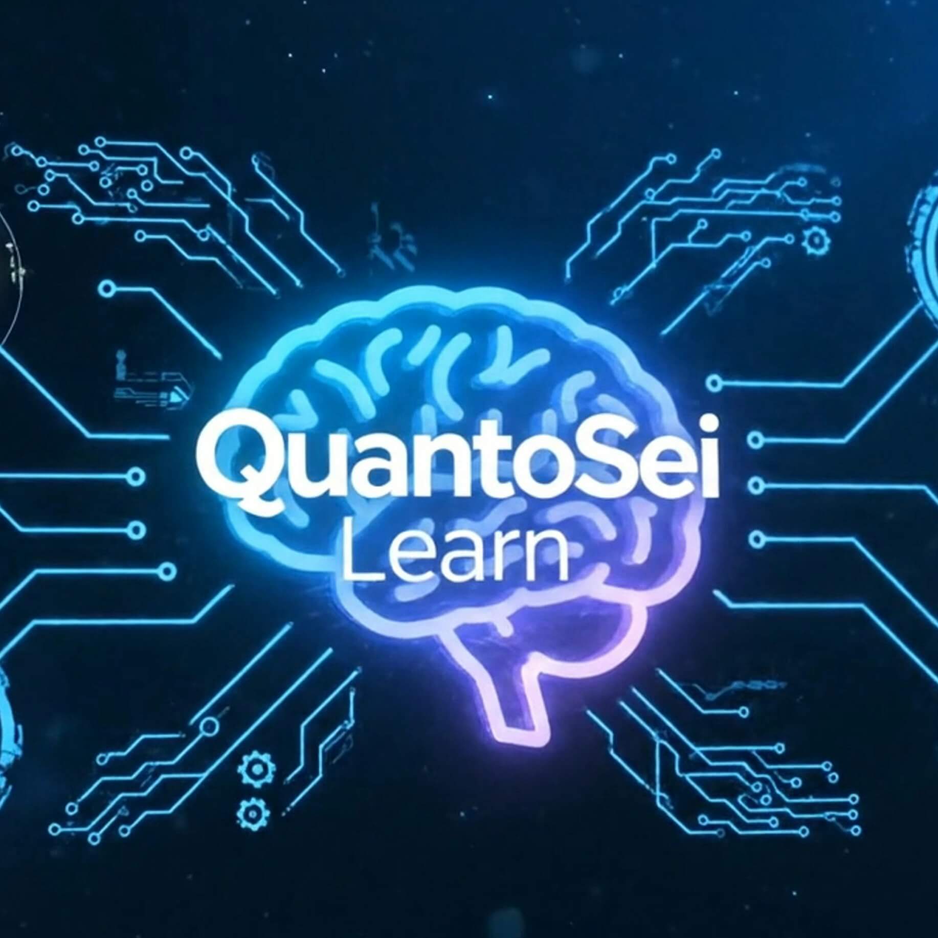 QuantoSei Learn logo