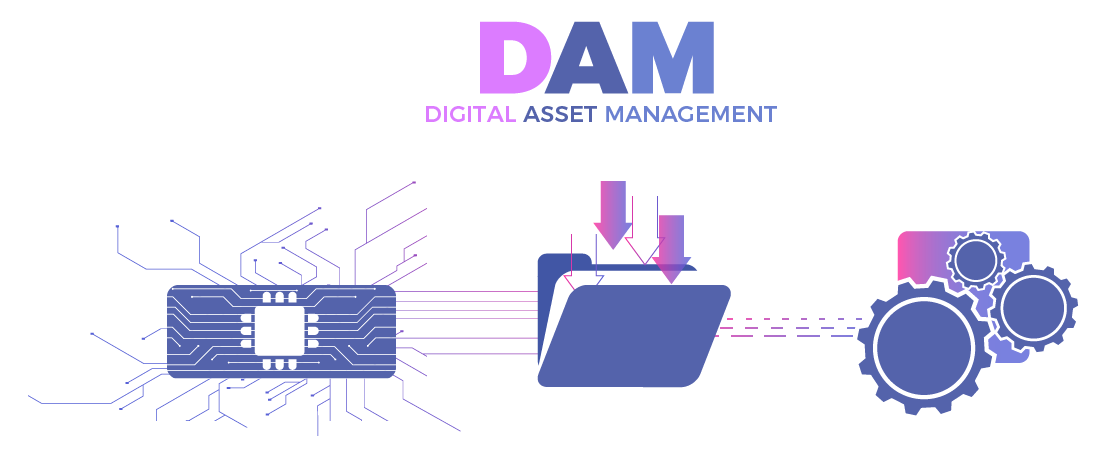 digital asset management