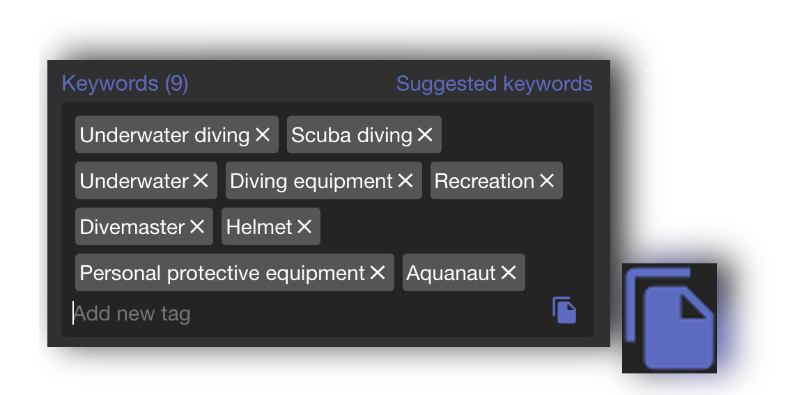 copy keywords button