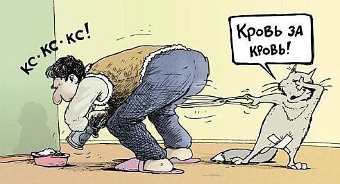 Подборка эро-приколов Подборка эро-приколов