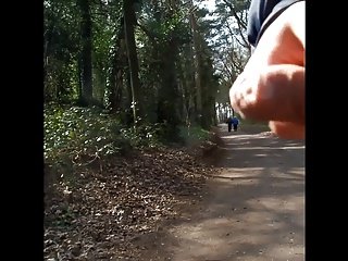 Мигание старая пара в лесу