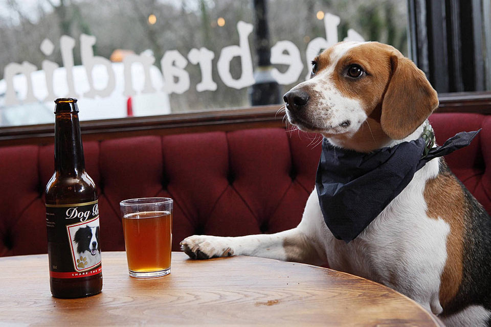 dog friendly bar in atlanta