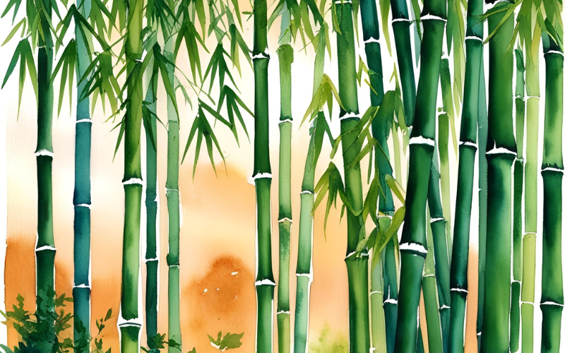 bamboo