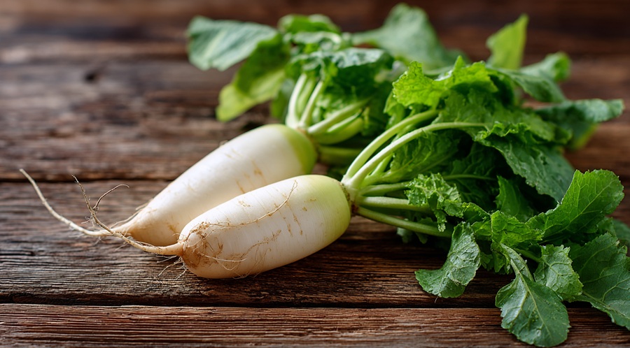 daikon radish