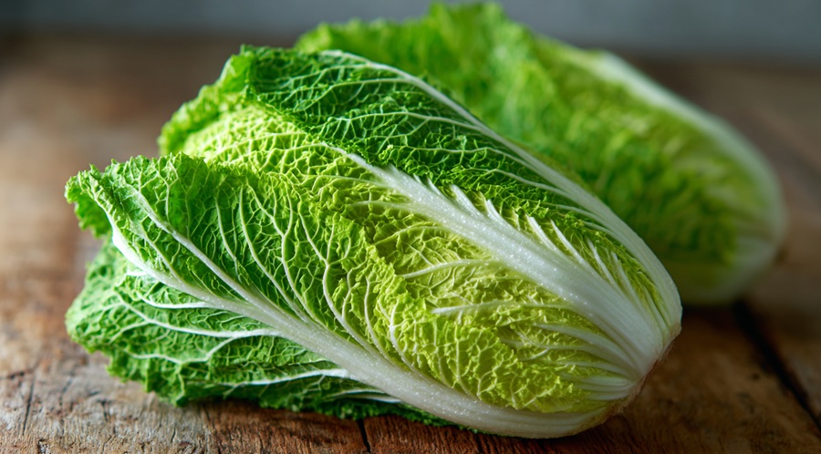 Napa Cabbage