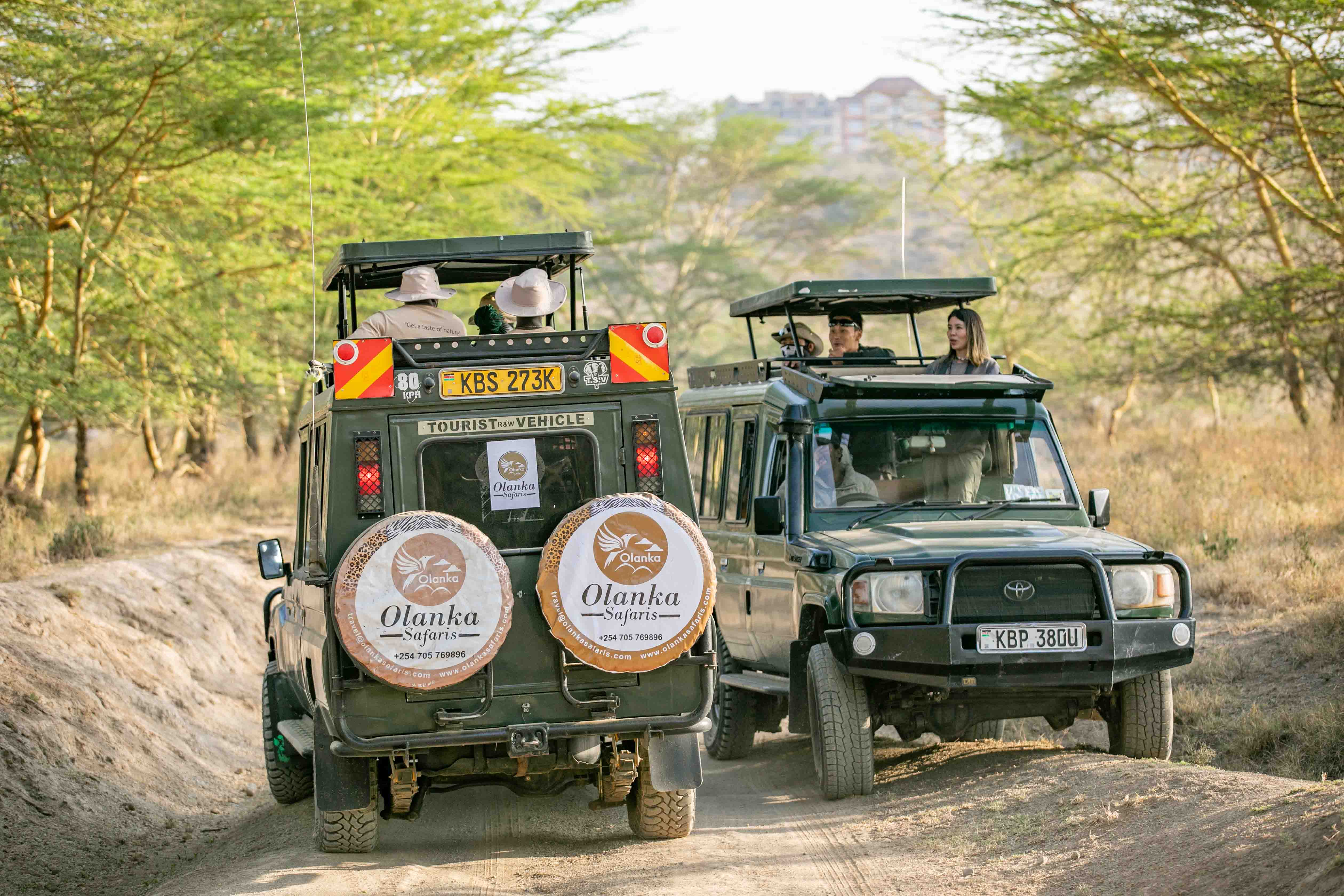 3 DAYS JAMBO MARA SAFARI LODGE | MASAI MARA SAFARI