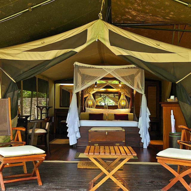 MARA INTREPIDS TENTED CAMP