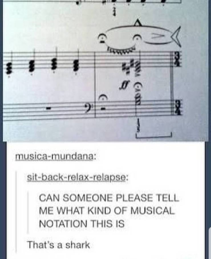 best funny pictures, funny pics, funny photos, funny pictures, funny vids, the best funny pictures, really funny photos, crazy funny photos, funny photo dump, pics you can't stop laughing at