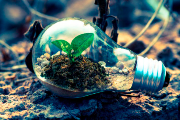 Consejos esenciales para reducir el consumo de energía en empresas y hogares