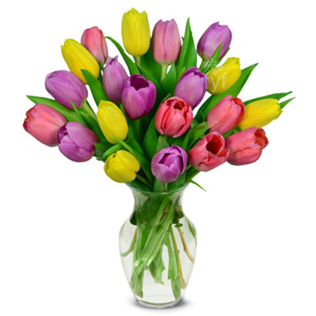 Spring Tulip Bouquet - 20 Stems