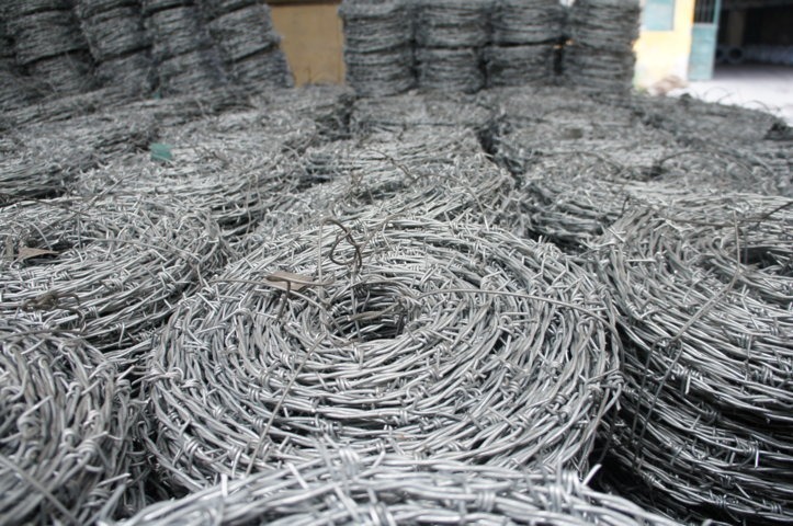 cuon-thep-gai