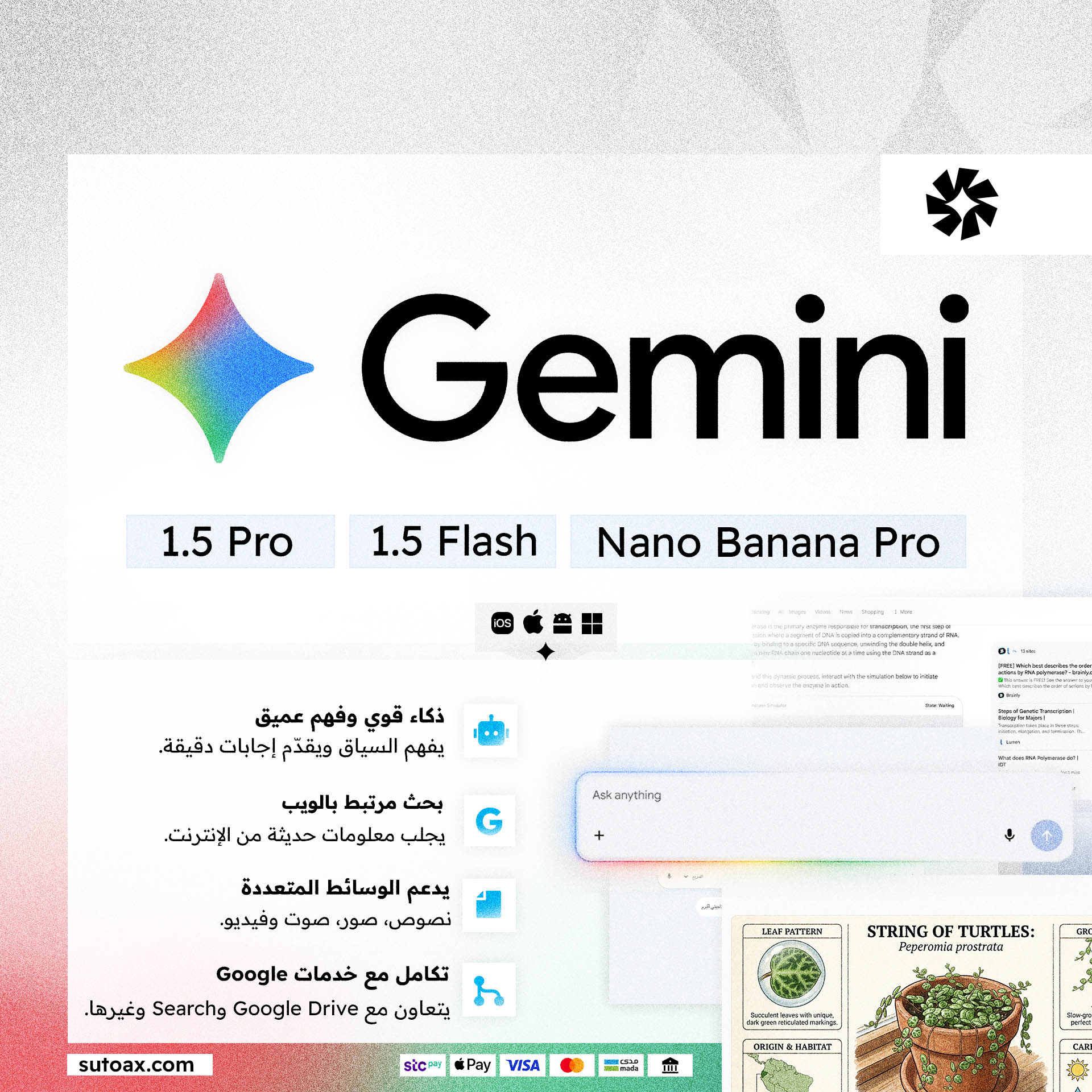 اشتراك Google Gemini | جوجل جيميناي