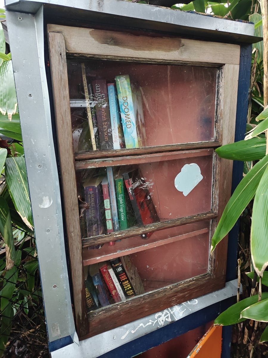 Shelfie from Mar 17, 2026