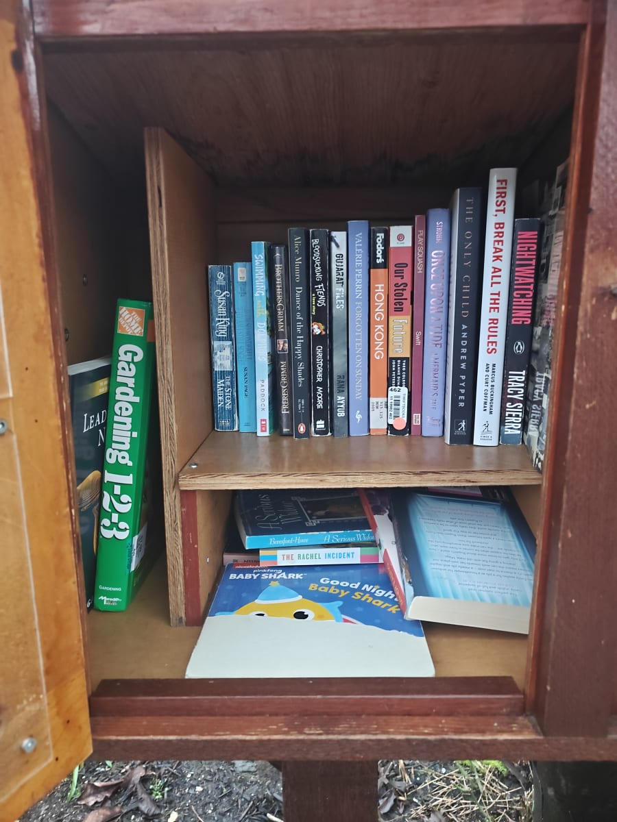 Shelfie from Mar 19, 2026