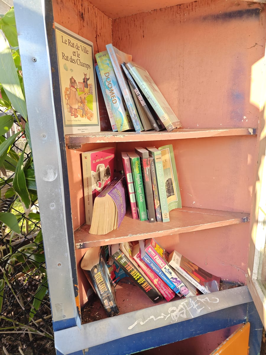 Shelfie from Mar 25, 2026