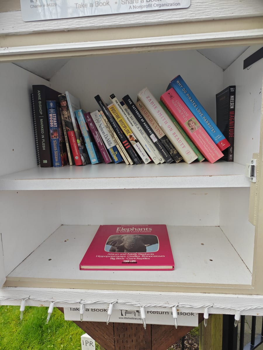 Shelfie from Mar 27, 2026