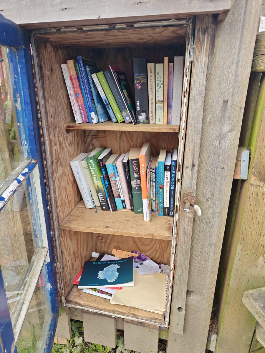 Shelfie from Mar 27, 2026