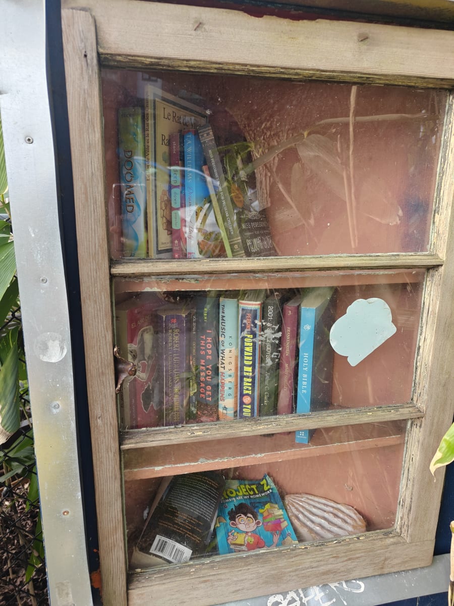 Shelfie from Apr 1, 2026
