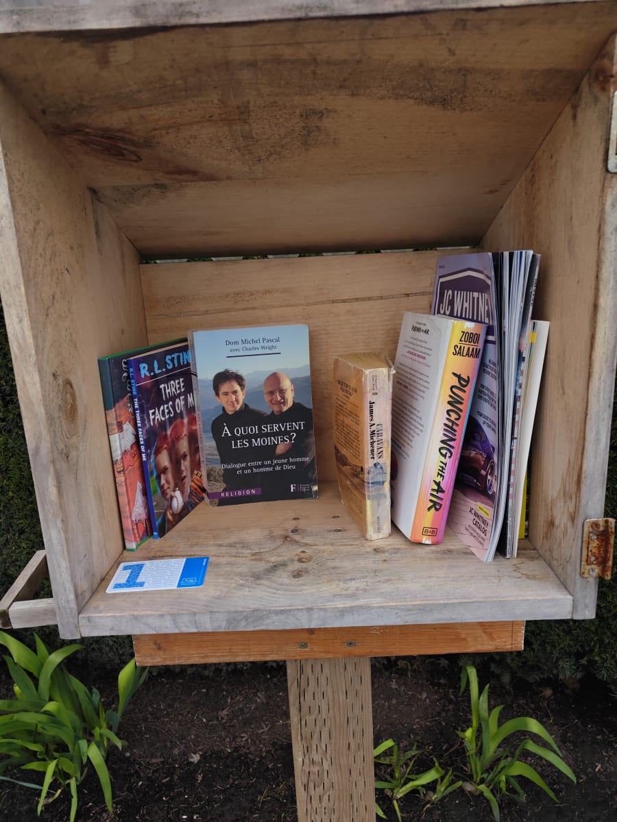 Shelfie from Apr 3, 2026