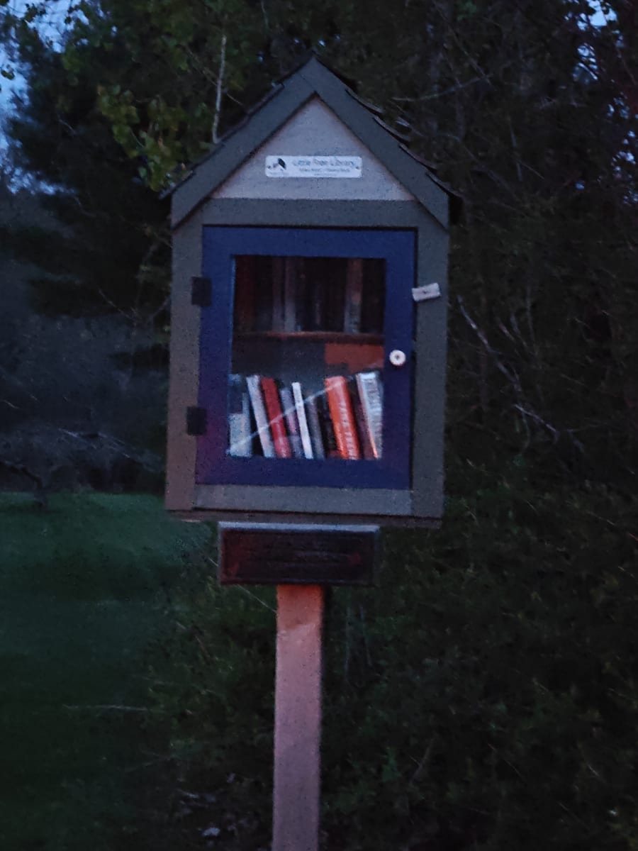 Shelfie from May 13, 2026