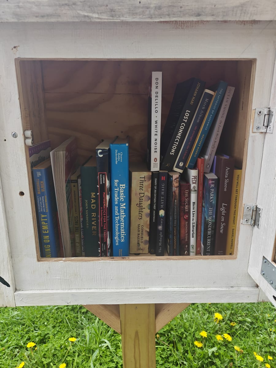 Shelfie from May 15, 2026