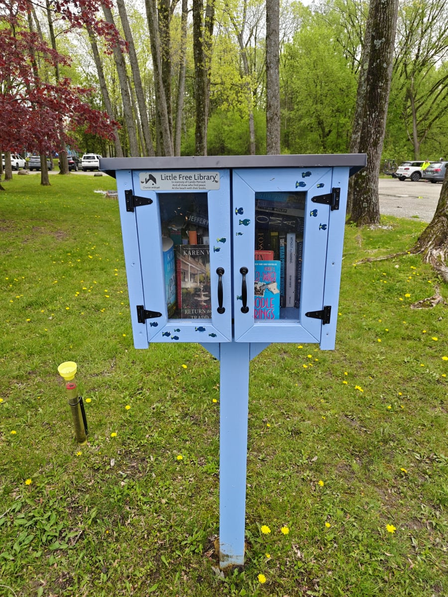 Shelfie from May 18, 2026