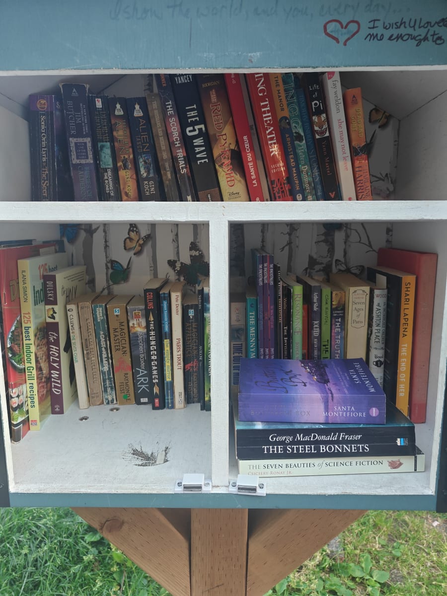 Shelfie from May 20, 2026