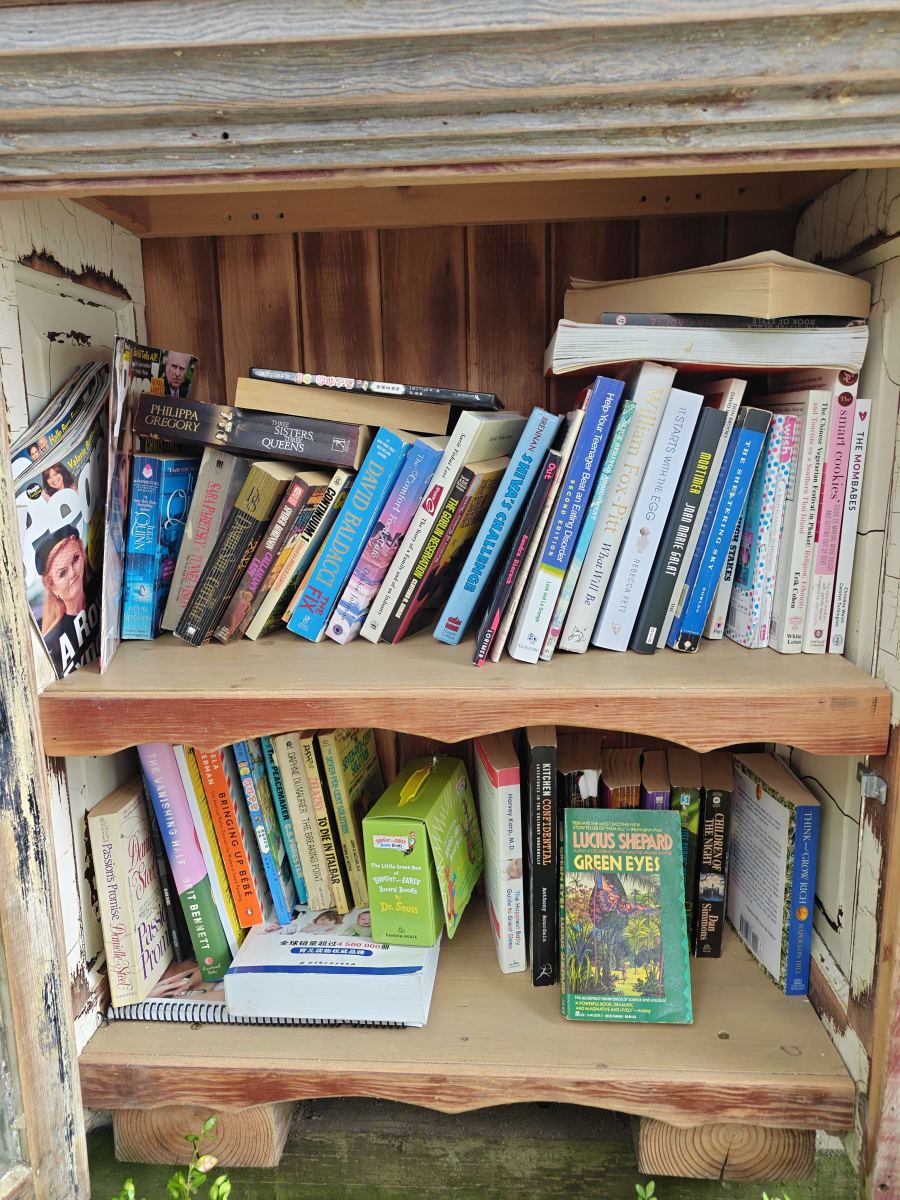 Shelfie from May 24, 2026