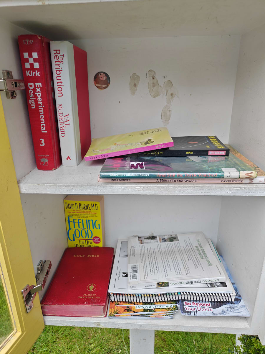 Shelfie from May 25, 2026