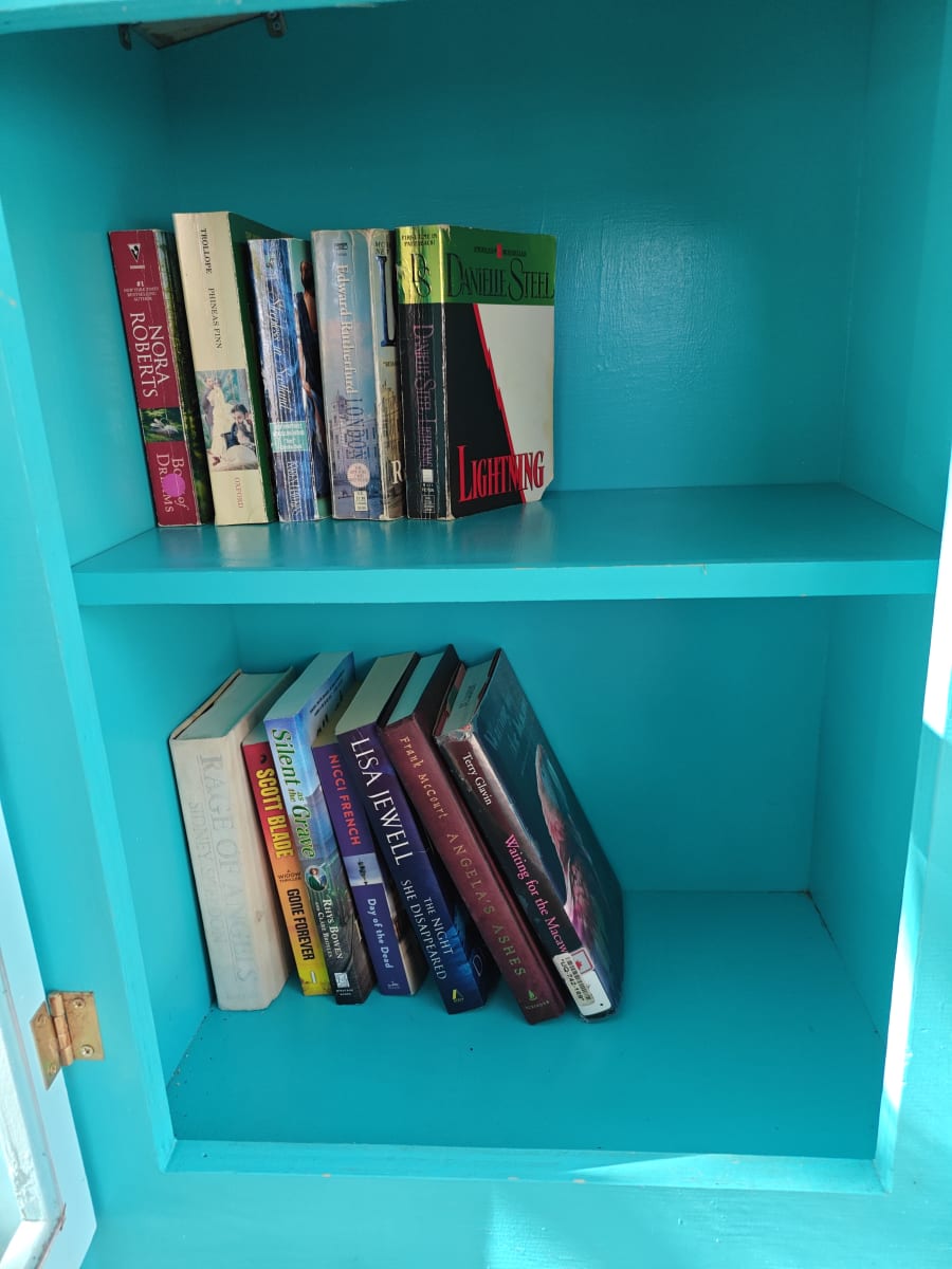 Shelfie from May 30, 2026