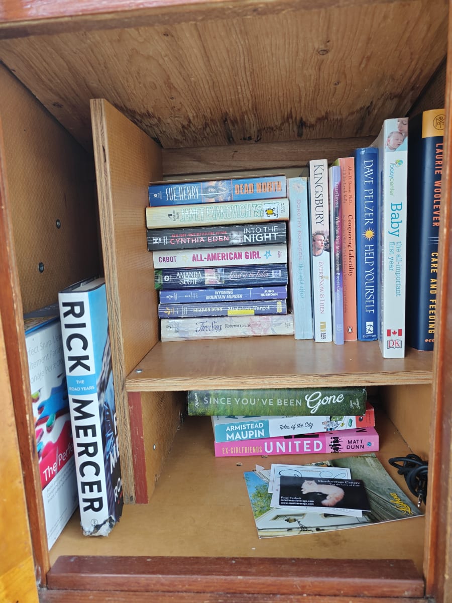 Shelfie from May 30, 2026