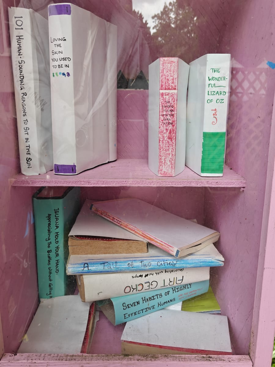 Shelfie from May 30, 2026