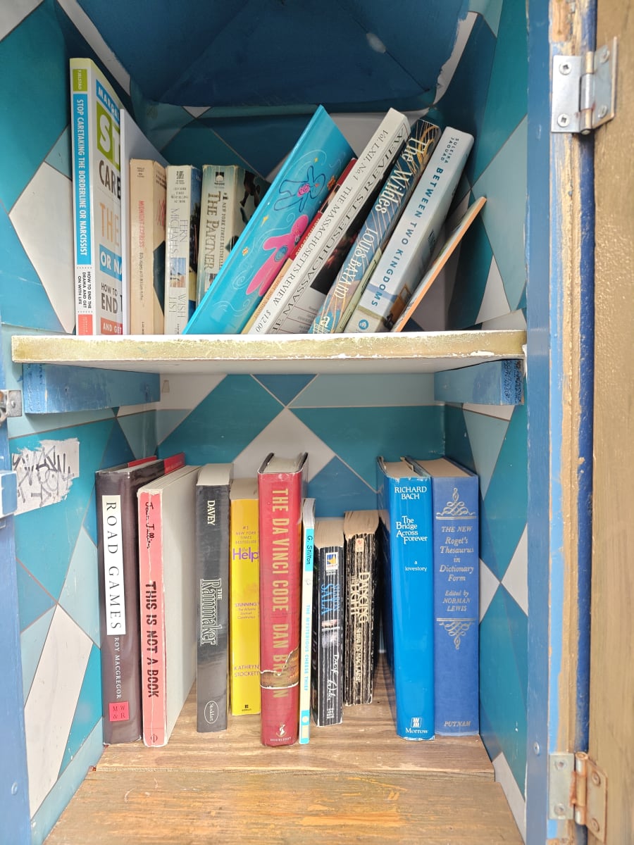 Shelfie from May 30, 2026