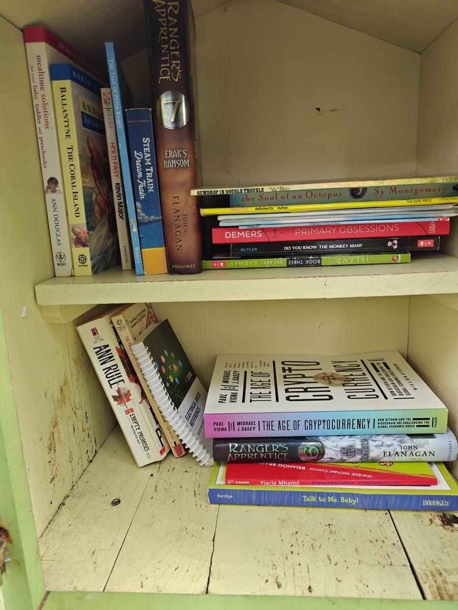 Shelfie from May 30, 2026