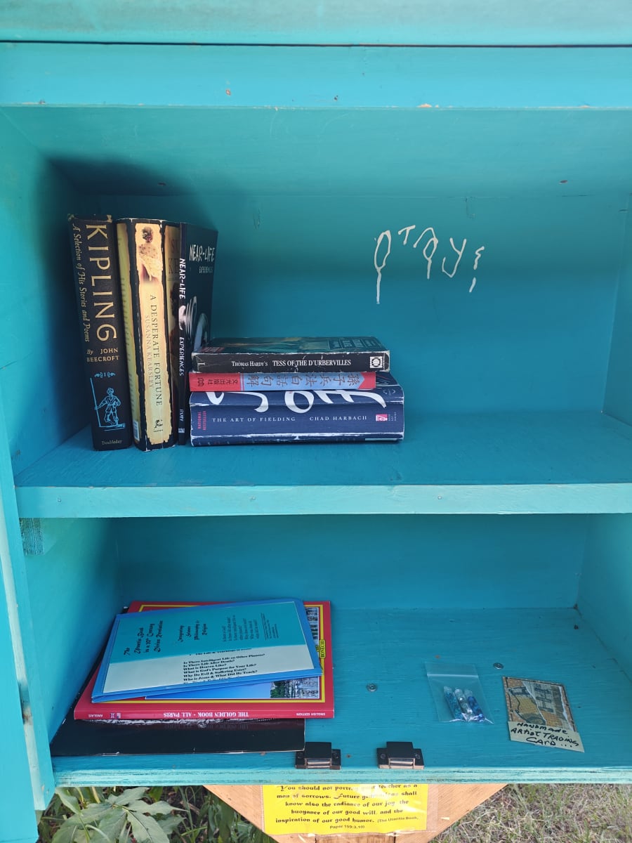 Shelfie from May 31, 2026