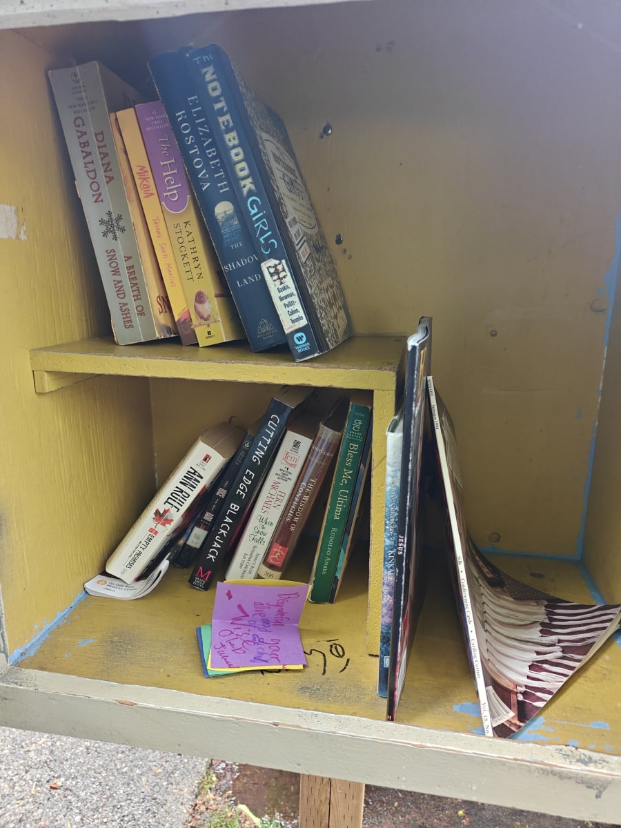 Shelfie from Jun 7, 2026