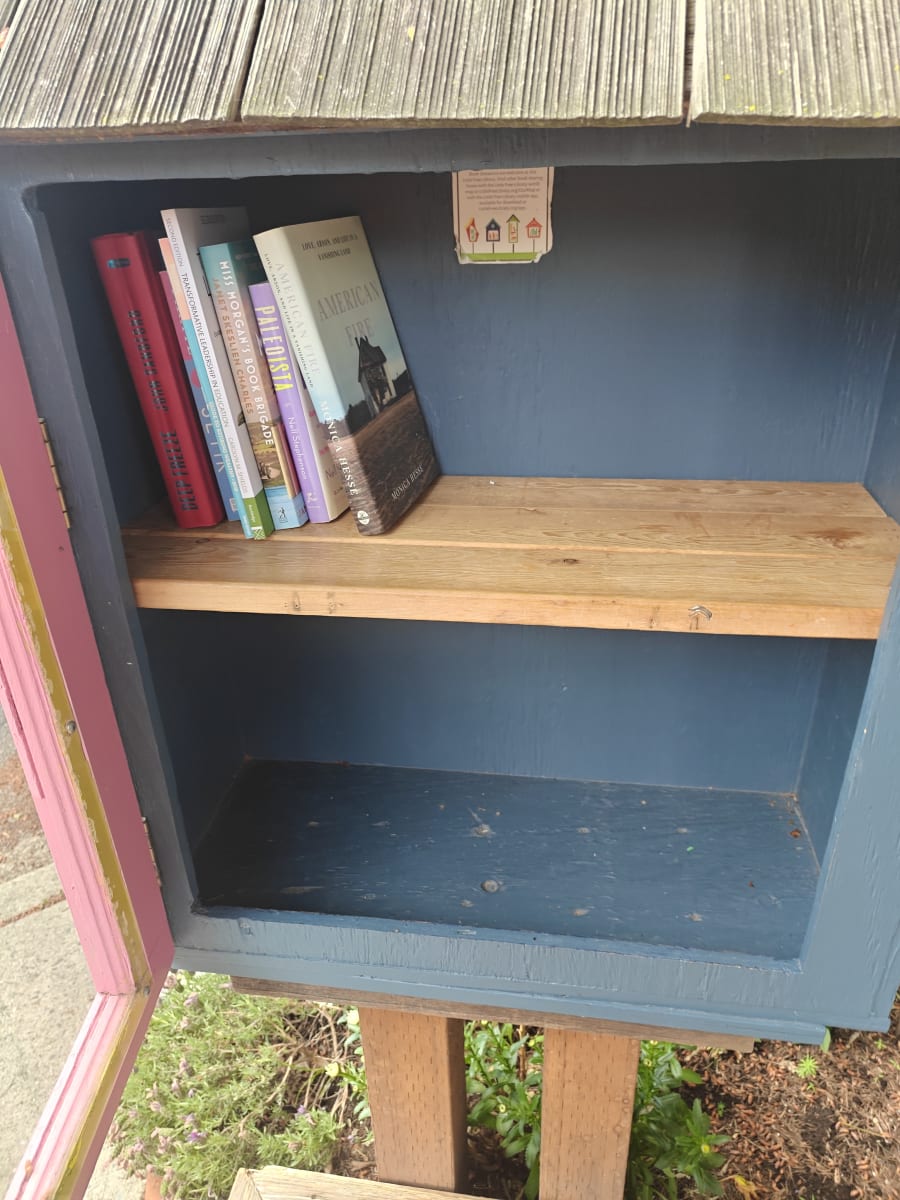 Shelfie from Jun 10, 2026
