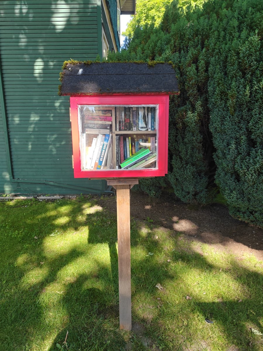 Shelfie from Jun 12, 2026