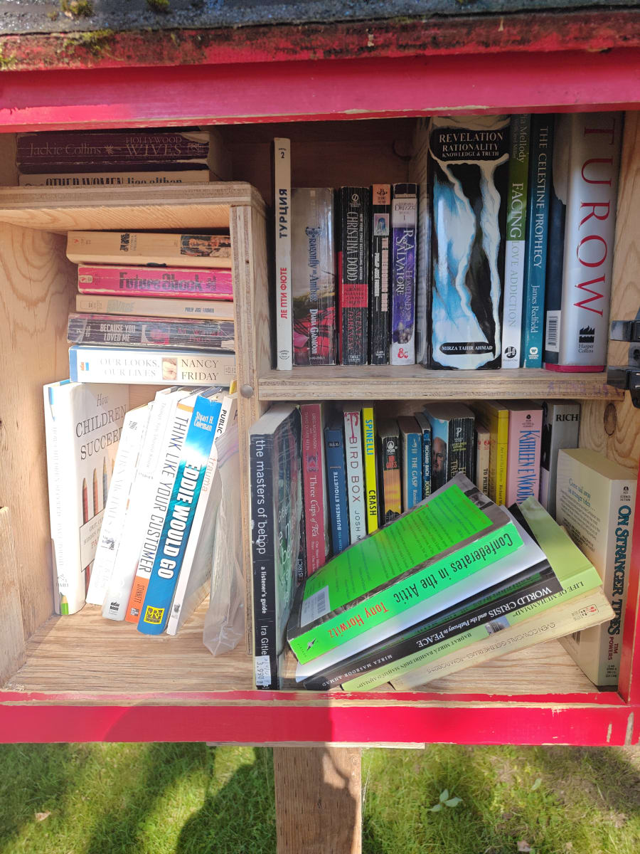 Shelfie from Jun 12, 2026